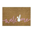 thumbnail image 1 of Summer Doormat Door Mats Outdoor Welcome Doormats, with Non-slip Backing Rugs, Floor Carpet for Kitchen mats, Front Back Doors, Pets and Dogs, Home Indoor Outdoor Decorations, 1 of 3