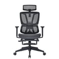 thumbnail image 1 of Motionwise Mesh Office Chair with Footrest, 1 of 1