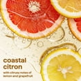 thumbnail image 4 of Method Super Shine Dish Soap Coastal Citron, 4 of 6