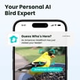 thumbnail image 2 of Birdfy Smart Bird Feeder with Camera, 60FPS Smooth Video, AI Bird Identification & Instant Alerts, Auto Capture, Perfect Gift for Bird Lovers, 2 of 7