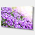 thumbnail image 2 of Beautiful Campanula Flower Bouquet - Large Floral Canvas Artwork, 2 of 3