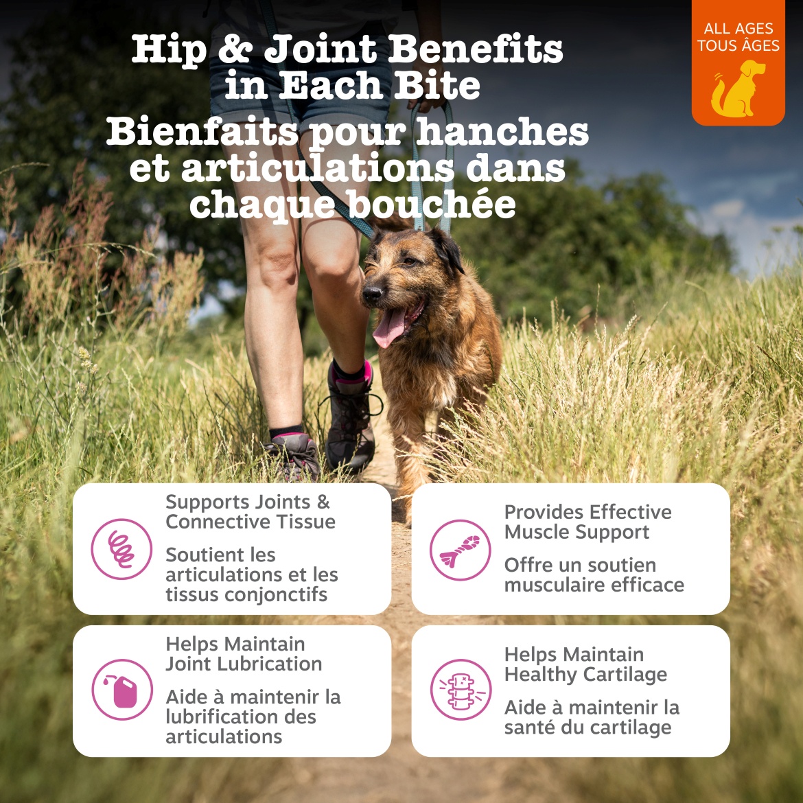 Zesty Paws Apaisant Chews Saveur de Dinde Complément Alimentaire Quotidien pour Chiens, Friandises Molles, Paquet de 90
