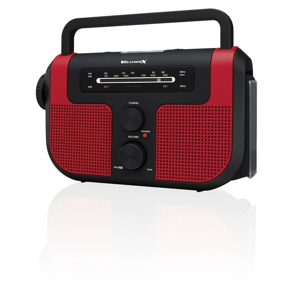 Digital Products International Wr383R Radio