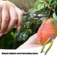 thumbnail image 4 of Riforla Garden Cutting Shear Ground Handheld Bypass Pruning Shears | Hand Pruners with Stainless Steel Cutter | Branches Clipper for Gardening Trees Large Trim Tool YE1, 4 of 4