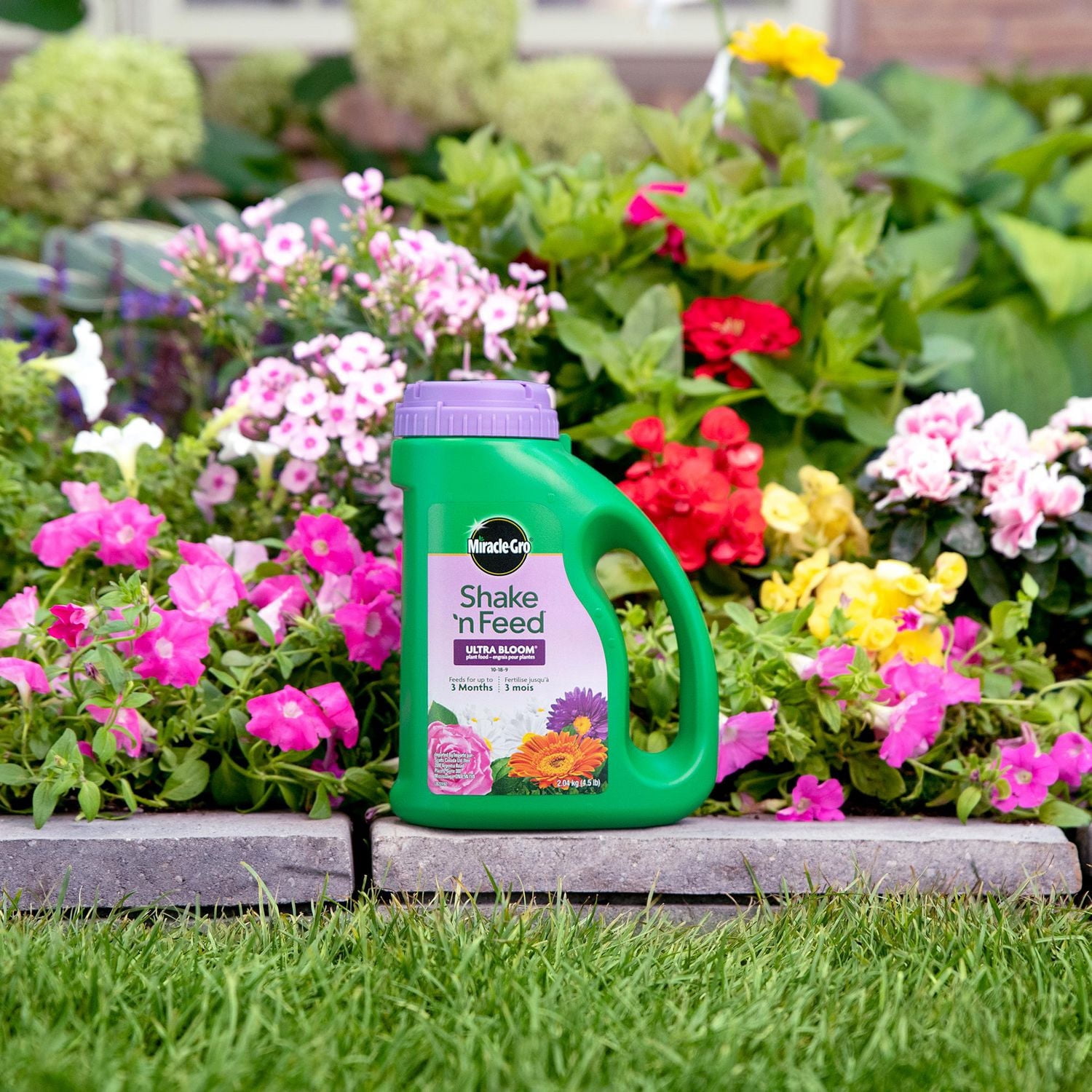 Miracle-Gro Shake N Feed Ultra Bloom Plant Food 10-18-9  2.04 Kg