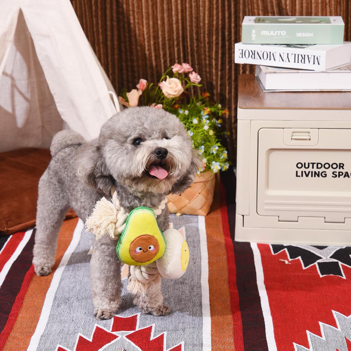 Hugsmart Toast et œuf Jouet à tirer et corde pour chien