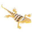 thumbnail image 3 of Fdit Jouets de Modèles d'Animaux, 12 Pcs/ensemble Modèles de Lézards Colorés Simulés Jouets d'Animaux pour Enfants Accessoires d'Enseignement Outils, 3 of 9