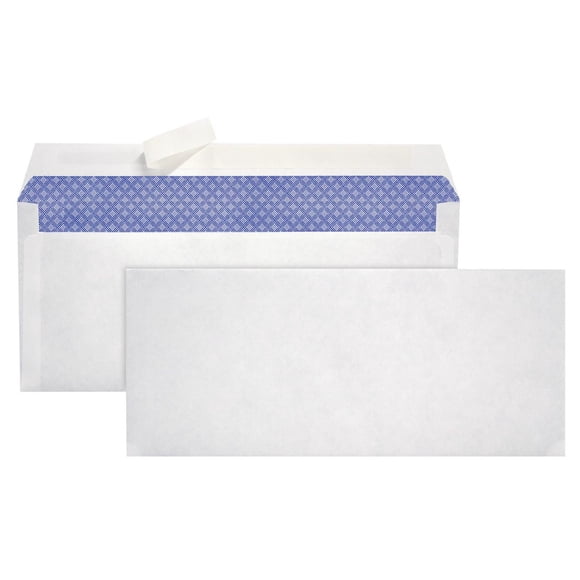 #10 Peel & Seal security envelope, 20#