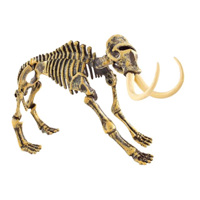 Dinosaur Model,Dinosaur Skeleton Bones Model Dinosaur Toy Dinosaur Skeleton Model Extended Durability