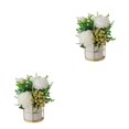 thumbnail image 2 of kurtrusly Artificial Flowers With Vase Add Of Color And Style To Any Room Indoor Pinellia white 2Set, 2 of 6