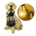 thumbnail image 3 of jinwen LED Energy Garden Light, Labrador Golden Retriever Statues with Detachable Lamp, Labrador Mom, 3 of 9