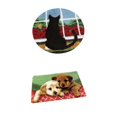 thumbnail image 1 of Rongfmy Puppy & Cat Latch Hook Rug Kit Latch Hook Crafts Making Package for Children, 1 of 9