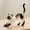 B, variant on Cat Fibers Memorial Bottle Transparent Storage Box for Pet Fur Keepsake, Plastic Collectible Display for Ragdoll Cats Home Ornament