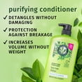 thumbnail image 3 of Herbal Essences Purifying Tea Tree Conditioner, 3 of 17