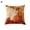 4#, variant on Zeus 18inch Fall Autumn Theme Farmhouse Decorative Throw Pillow Case Cushion Cover