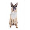 thumbnail image 1 of Lot de 2 Bandanas Triangulaires en Polyester à Motif Cachemire pour Animaux de Compagnie Chiens - Grand Format (Blanc), 1 of 2