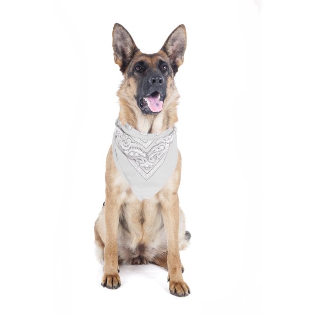 Lot de 2 Bandanas Triangulaires en Polyester à Motif Cachemire pour Animaux de Compagnie Chiens - Grand Format (Blanc)