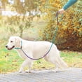 thumbnail image 4 of TIELUTT Strap Nylon Traction Rope | Adjustable Pull Strap Suitable for Outdoor Activities Camping with Dog Accessories Rain Cover for Dog Dog Accessories Store Dog Accessories for Car Lunging Dog Acc, 4 of 5