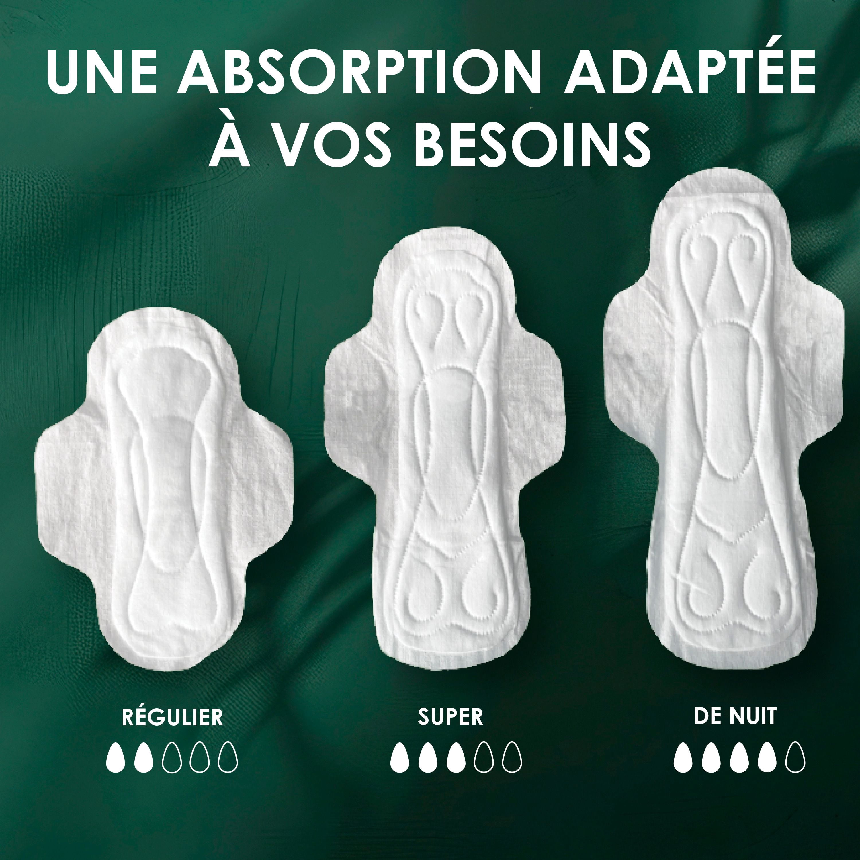 L. Serviettes Ultra-Minces pour Femmes, Voile Supérieur en Coton Biologique, Absorption de Nuit, Serviettes Menstruelles avec Ailes 36 Unités