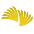 thumbnail image 3 of 12 Pcs Accessoires de Chasse à l'Arc Flèche Plume Cible Fletcher Aile Droite 4 Pouces Jaune, 3 of 9