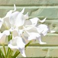thumbnail image 4 of CHUANK 20pcs Artificial Calla Lily Silk Flowers 13.4” for Home Kitchen Wedding Table Decoration (White), 4 of 18