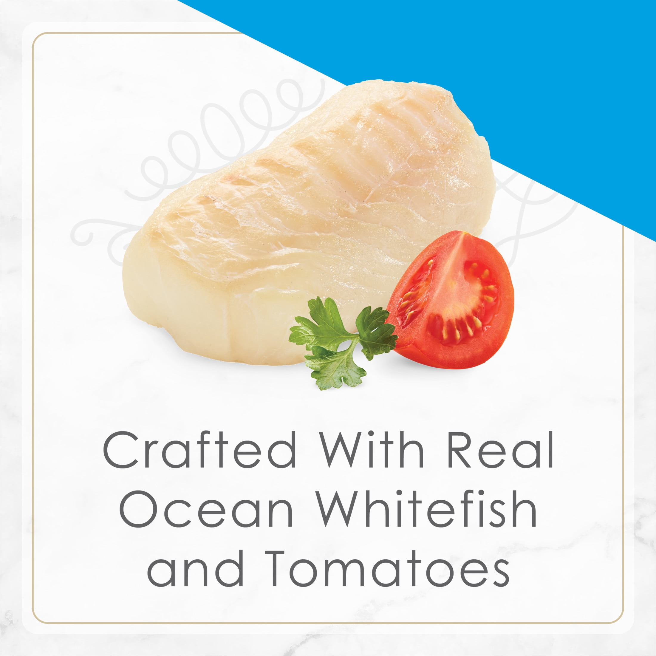 Fancy Feast Petites Entrée de Poisson Blanc avec Tomates Nourriture pour Chat Gourmet