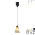 thumbnail image 1 of FSLiving Rechargeable Battery Operated Pendant Light with Remote,Nordic Style Hanging Light with Glass Clear Shade,Adjustable Height RGB Color,Timer,Dimmable Lamp for Bedroom (Walnut) - 1 Light, 1 of 6