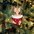 thumbnail image 4 of Christmas Decorations Acrylic Stockings for Cats - Tree Hangs Festive Crafts Unique Holiday for Home Decoration, 4 of 4