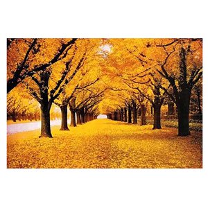 XFGOU Puzzle Jouets et Loisirs Puzzles cadeaux Grands Jouets Intéressants Adultes Piece 1000 Jouet Puzzle Puzzles Jeu personnalisé