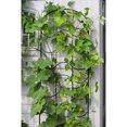 thumbnail image 3 of Achla Designs FT-16 77 In Waves Wrought Iron Garden Lattice Trellis, Black, 3 of 4