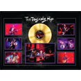 thumbnail image 1 of The Tragically Hip Framed Concert Collage with Gold LP, 1 of 4