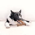 thumbnail image 2 of Benebone Essentials 2-Pack Wishbone, Bacon and Chicken, M/L, 2 of 9