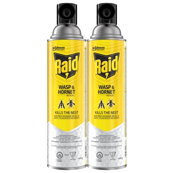 Raid Vaporisateur Insecticide pour Guêpes et Frelons, Tue les Insectes au Contact, pour l'Extérieur