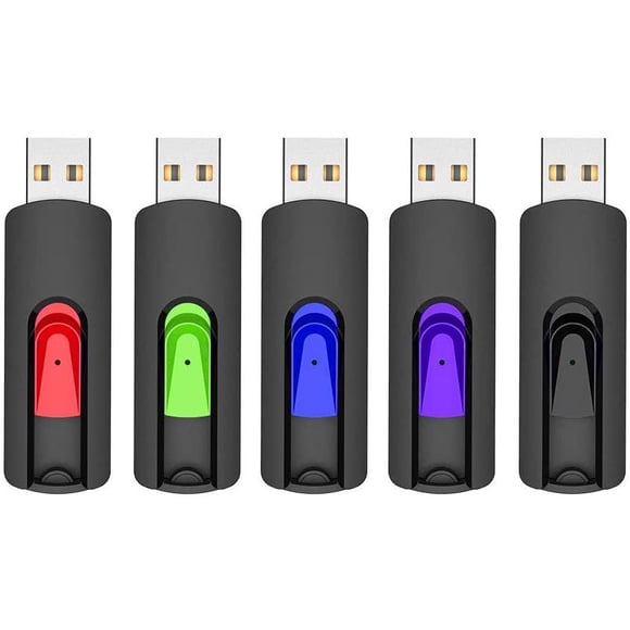 RAOYI Lot de 5 Clés USB 32 Go