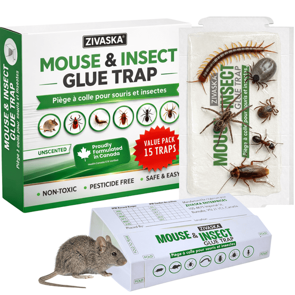 Sticky Mice Traps, Mouse Traps, Insect Glue Traps – Piège à Souris, Foldable Mouse Glue Traps, Extra-Sticky Glue Boards Traps, Non-Toxic, for Mice, Cockroaches, Spiders, Crawling Insects