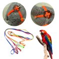 thumbnail image 3 of Pet Bird Harness Adjustable Leash Flying Training Rope for Parrot Cockatoo Macaw Cockatiels, 3 of 7