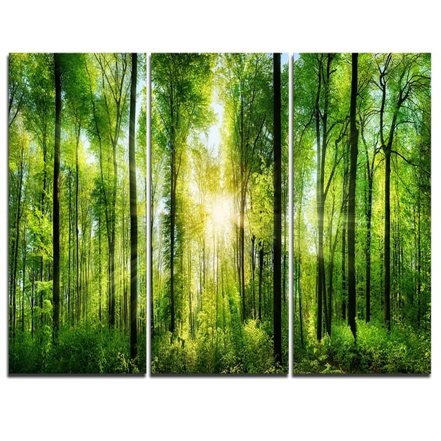 Design Art Forest with Rays of Sun Panorama Landscape Canvas Print, a three-panel gallery wrapped canvas measuring 36 by 28 inches, depicting a sunlit forest with tall green trees and dense undergrowth, printed on premium cotton canvas with vibrant colours and ready to hang with included hardware, suitable for enhancing home or office wall décor.