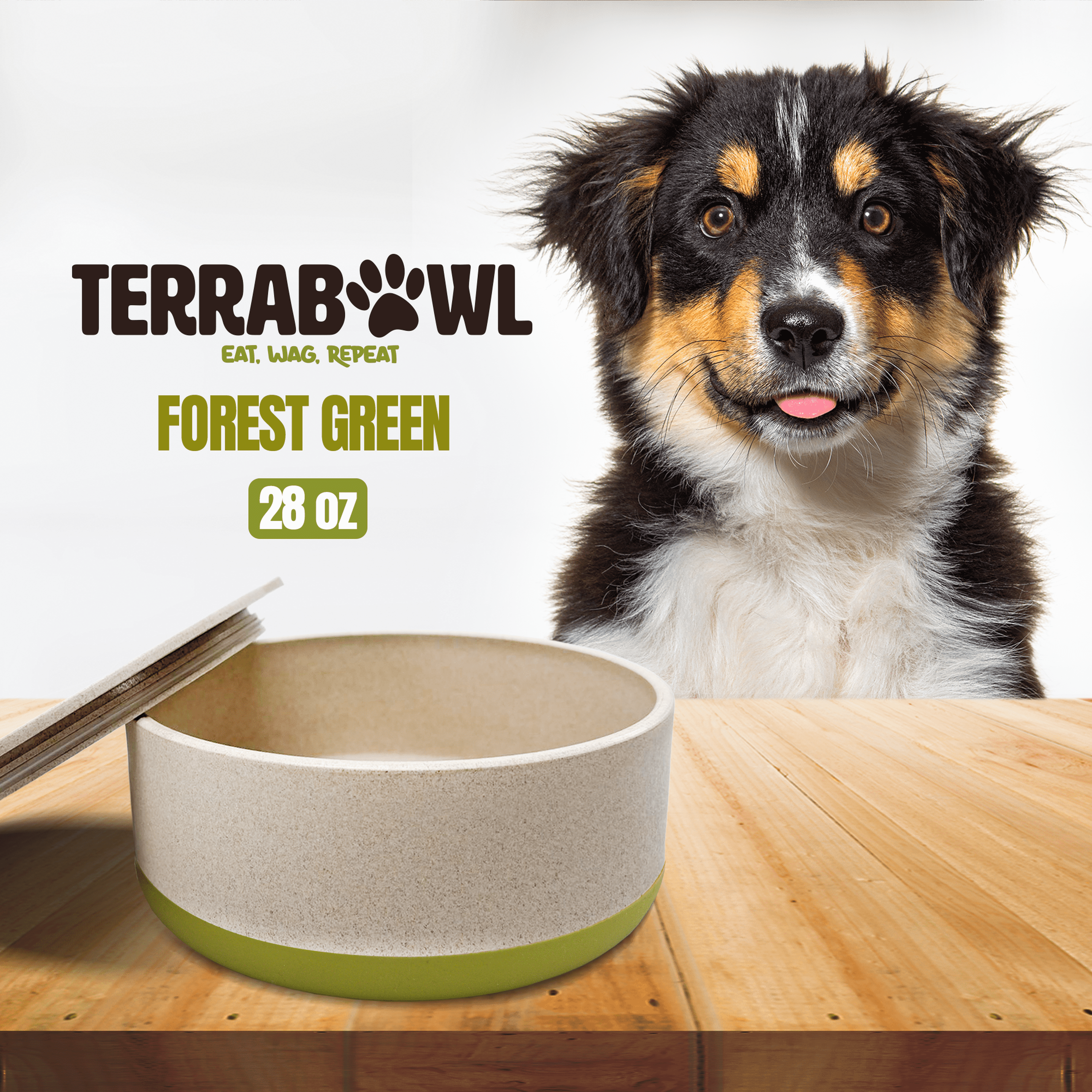 TerraBowl 28 oz. Bol pour Animaux de Compagnie Écologique, Antidérapant avec Couvercle pour Chiens et Chats