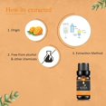thumbnail image 3 of KRIAA Goodness Sweet Orange Tree Essential Oil 10ml with Dropper, 3 of 6