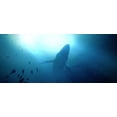 thumbnail image 2 of Jeu vidéo Under The Waves pour (Xbox), 2 of 9