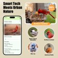 thumbnail image 3 of Richbird Waterproof Smart Window Bird Feeder Camera with AI, All-Weather 2K HD Live View & Secure Suction Mount - The Ultimate Outdoor Gift, 3 of 8