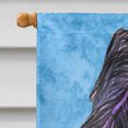 thumbnail image 3 of Carolines Treasures SS4123CHF 28 x 40 In. Briard Flag Canvas- House Size, 3 of 4
