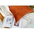 thumbnail image 2 of Gouchee Home Solid Velvet Cushion, 2 of 4