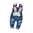 thumbnail image 1 of KIDSCOOL SPACE Baby 3D Bunny Cartoon Soft Cotton Knitted Jeans Overalls,2-3 Years, 1 of 6