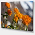thumbnail image 2 of Attractive Small Yellow Flowers - Large Flower Canvas Wall Art, 2 of 3