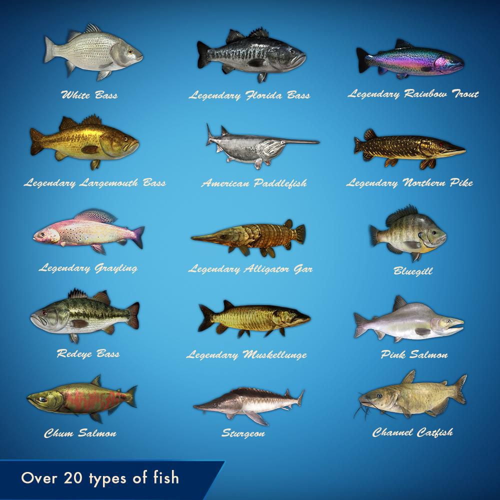 Legendary Fishing (Switch)