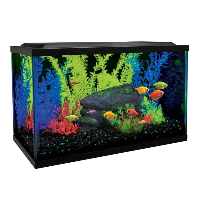 Glofish 10 Gallon Aquarium Fish Tank Kit with LED lighting and fluorescent green, blue, and red décor, featuring a 10-gallon glass tank with black low-profile hood, black gravel with colorful accents, and several vibrant GloFish swimming inside.