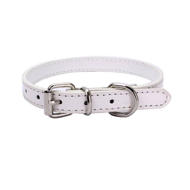 Collier Souple pour Chien pour Petit Chiot Chaton Chats