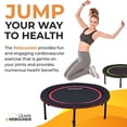 thumbnail image 3 of LEAPS & REBOUNDS 48" Mini Fitness Trampoline & Rebounder for Adults, Gray, 3 of 6