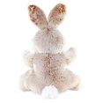 thumbnail image 2 of Way to Celebrate Easter Chubby Cheeks Bunny Plush Toy, Tan, 2 of 3